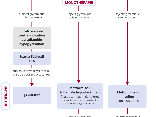 Diabète de type 2 - Stratégie thérapeutique