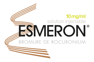 Logo Esmeron