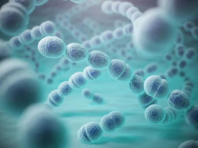 les_infections_pneumocoques