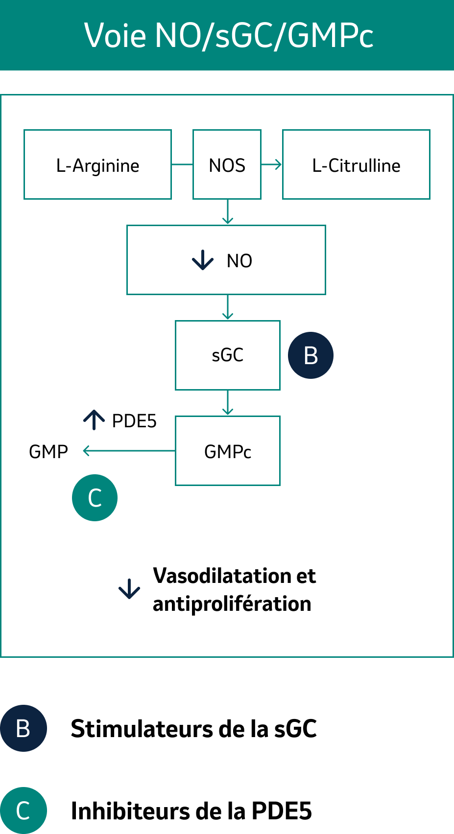 Traitements pharmacologiques