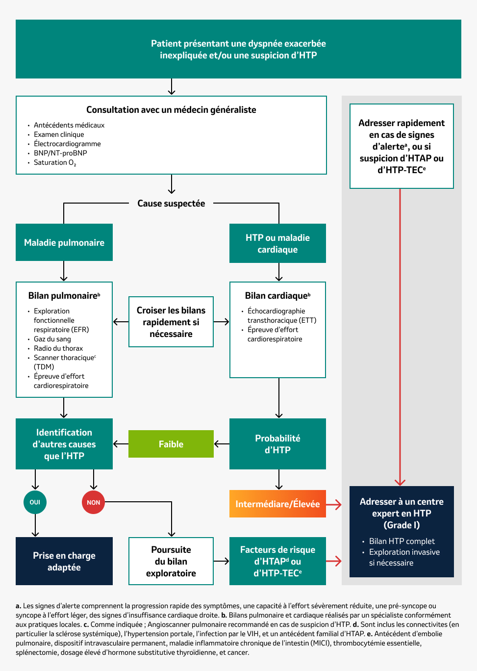 Algorithme de diagnostic HTP