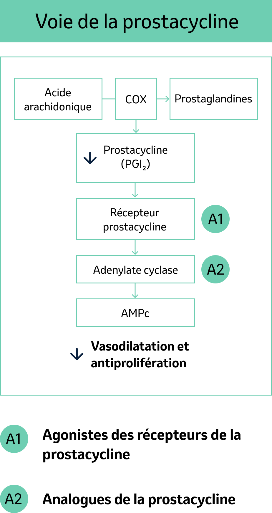 Traitements pharmacologiques