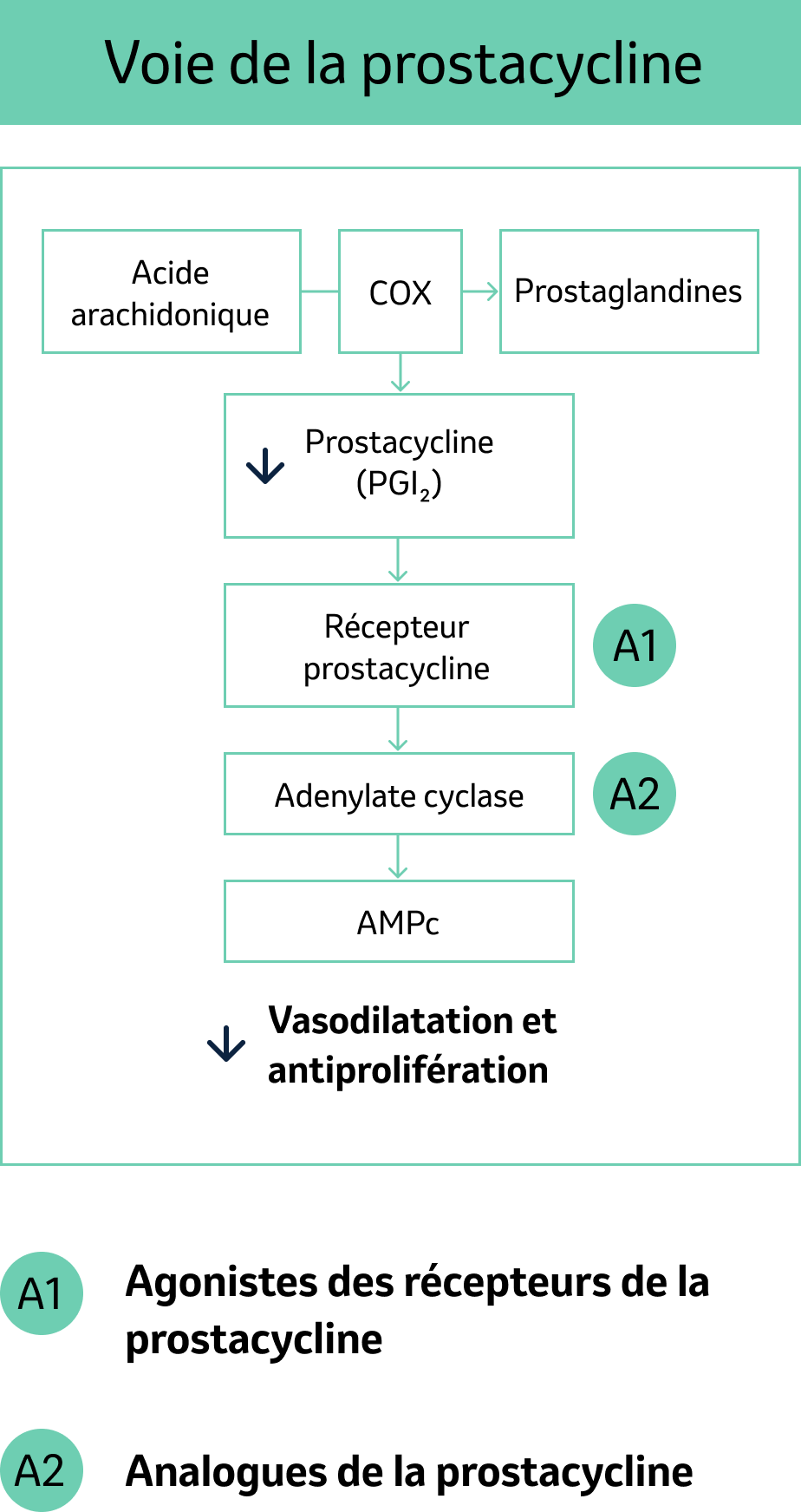 Traitements pharmacologiques