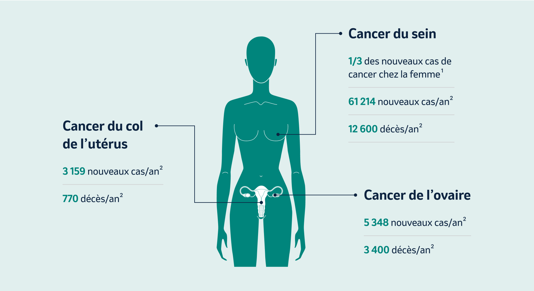 infographie cancer du sein et gynécologiques