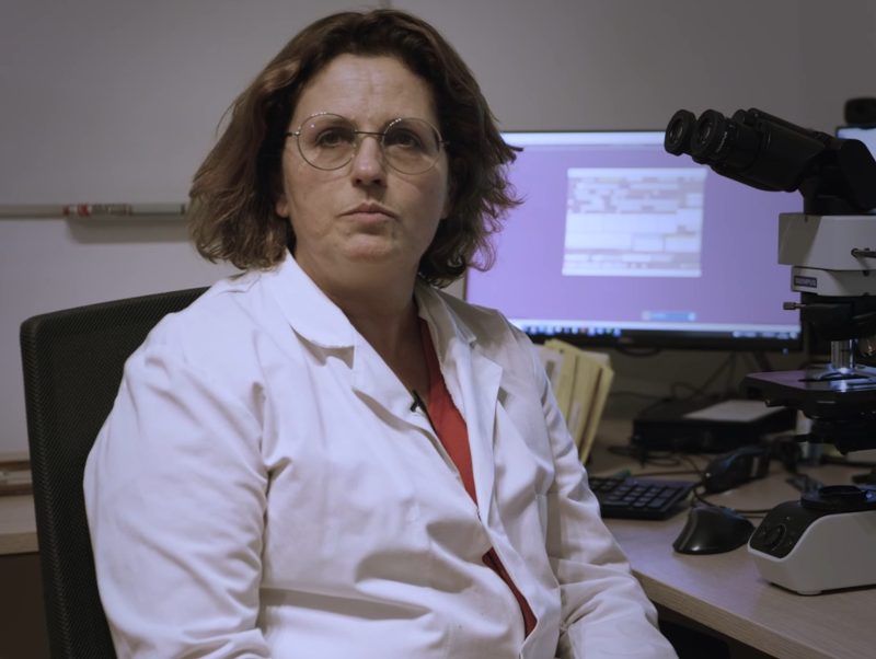 IMM10 - IMMERSION TOULOUSE - Vignette principale finale