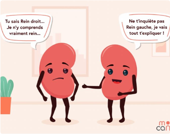 Cancer du rein : halte aux idées reçues !