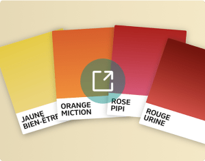 symptômes et facteurs de risque cancer de la vessie