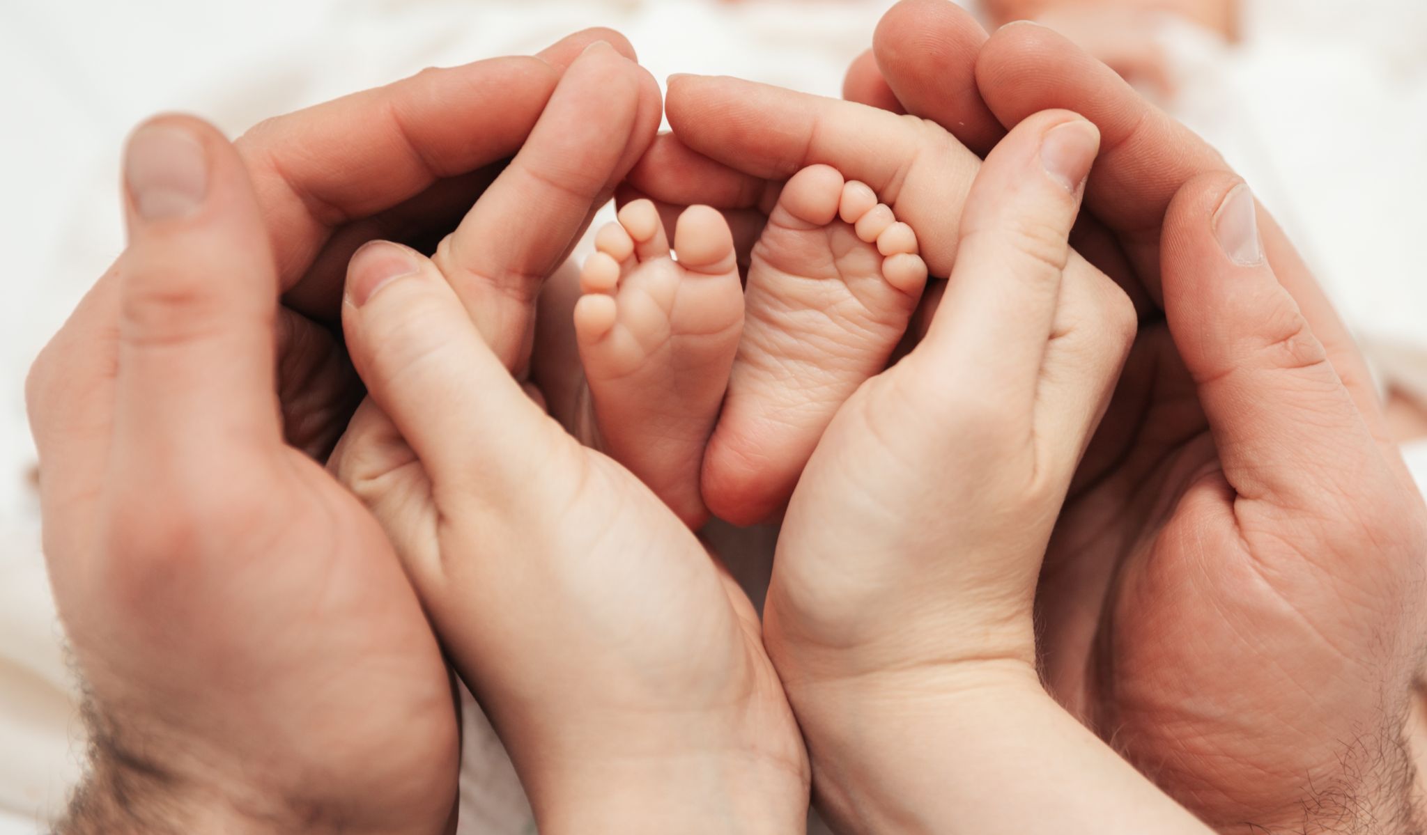 Pieds de nourrisson dans les mains de ses parents