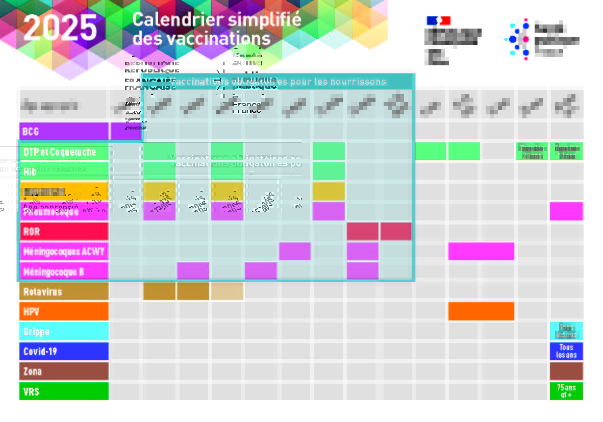 Calendrier vaccinal simplifié