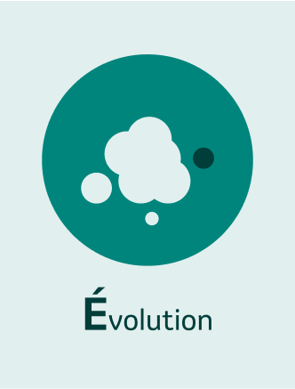 Evolution