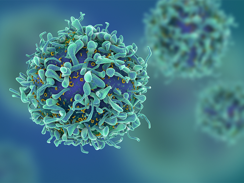 MSD acteur majeur recherche oncologie