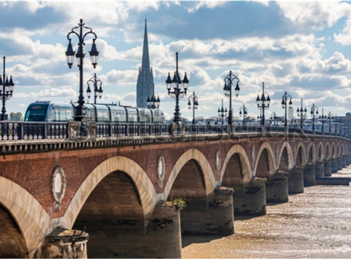 congrès SFRO 2025 Bordeaux