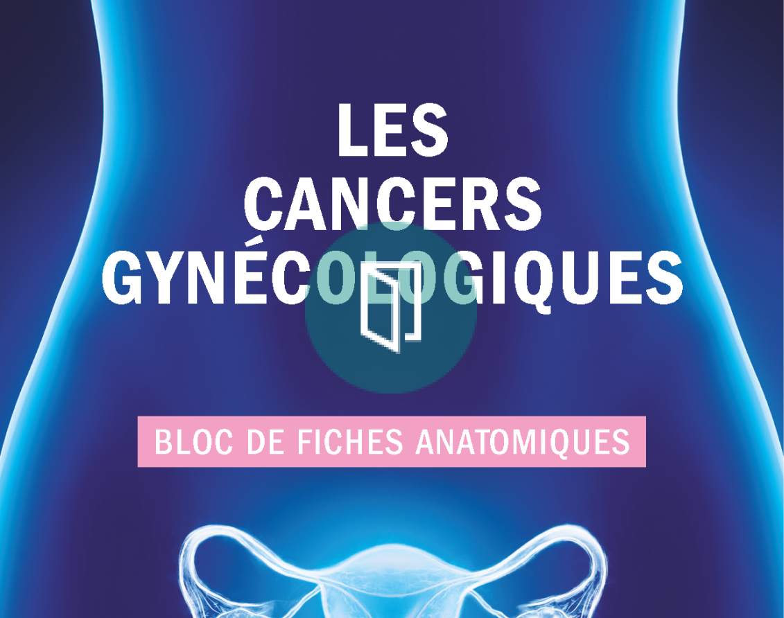 fiches anatomiques cancers gynécologiques