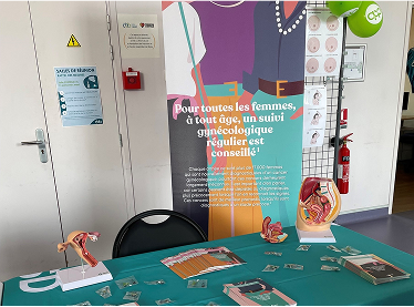 ateliers de sensibilisation MSD aux cancers gynécologiques
