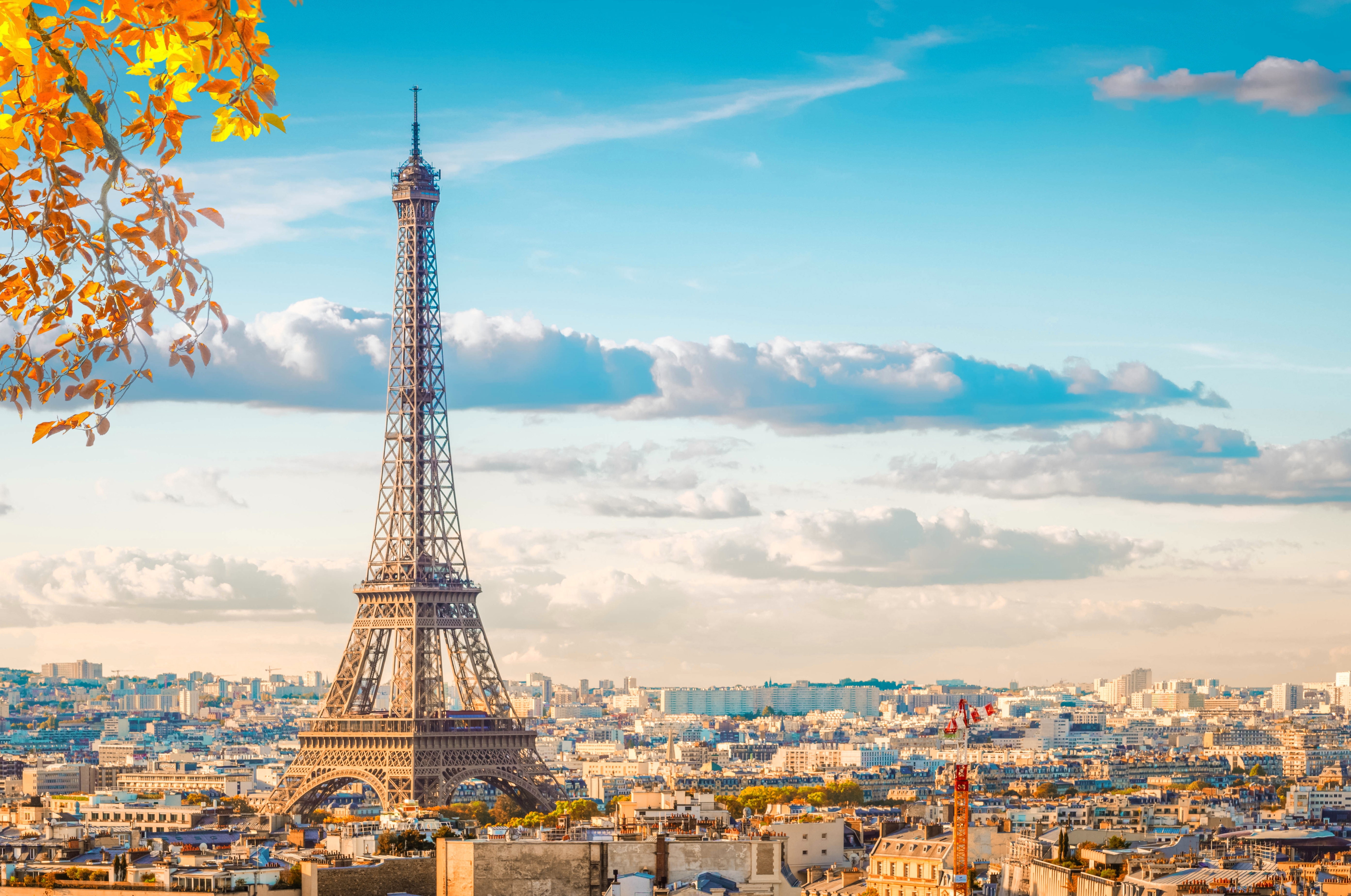 CARREFOUR PATHOLOGIE 2026 PARIS